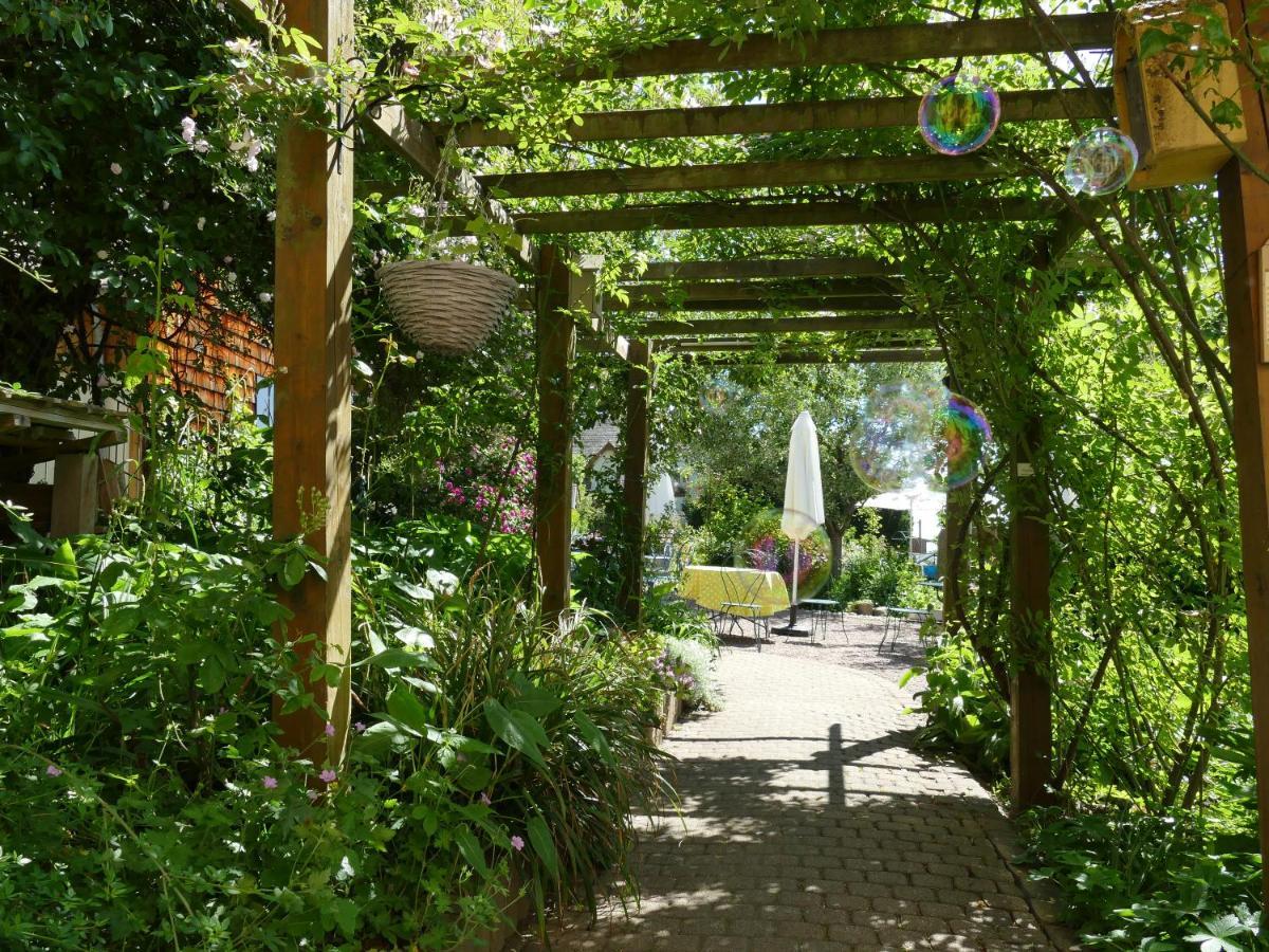 Villa Rosa Trois Epis エクステリア 写真