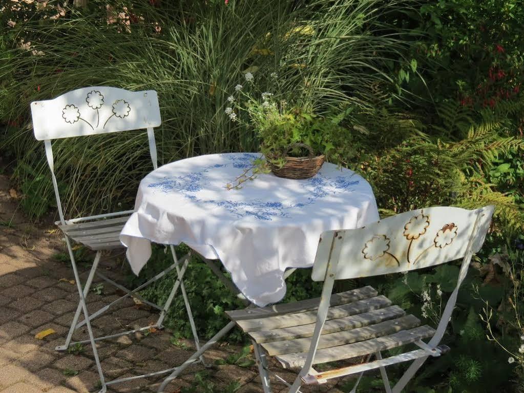 Villa Rosa Trois Epis エクステリア 写真