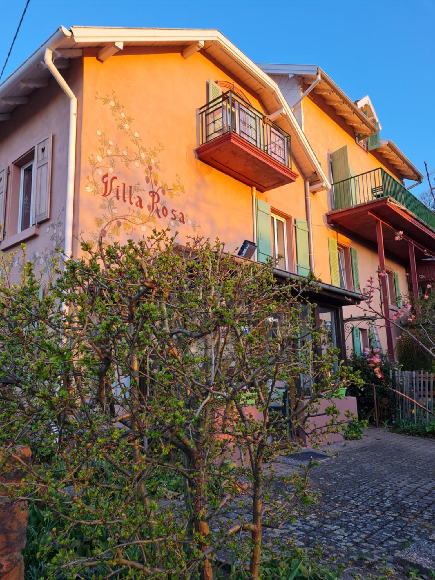 Villa Rosa Trois Epis エクステリア 写真